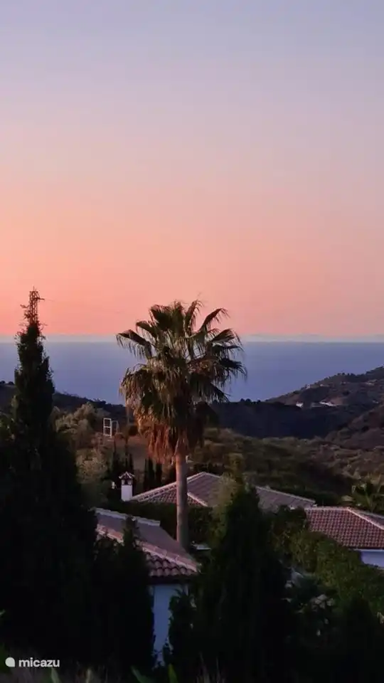 Privately located; from the neighbor you can see the palm and that's it