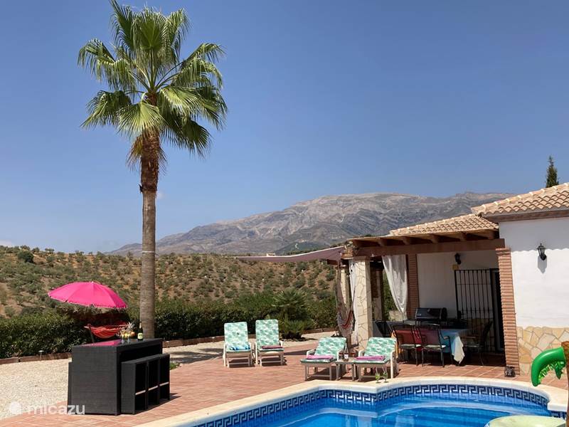 Holiday home in Spain, Andalusia, The Canillas Albaida Villa Villa Las Palmeras with large swimming pool