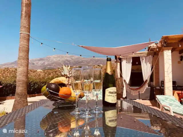 Villa Las Palmeras avec grande piscine | Espagne, Andalousie, Canillas De Albaida - villa La table haute (bar à boissons) est facile à déplacer, mais a fière allure à côté de la piscine sous les deux palmiers.