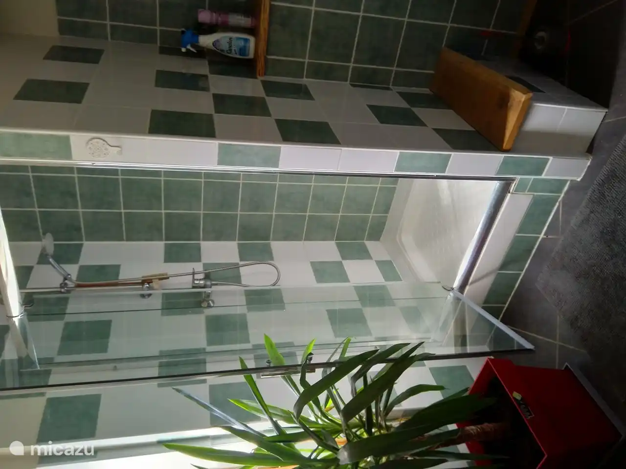 De badkamer heeft een ruime douche.