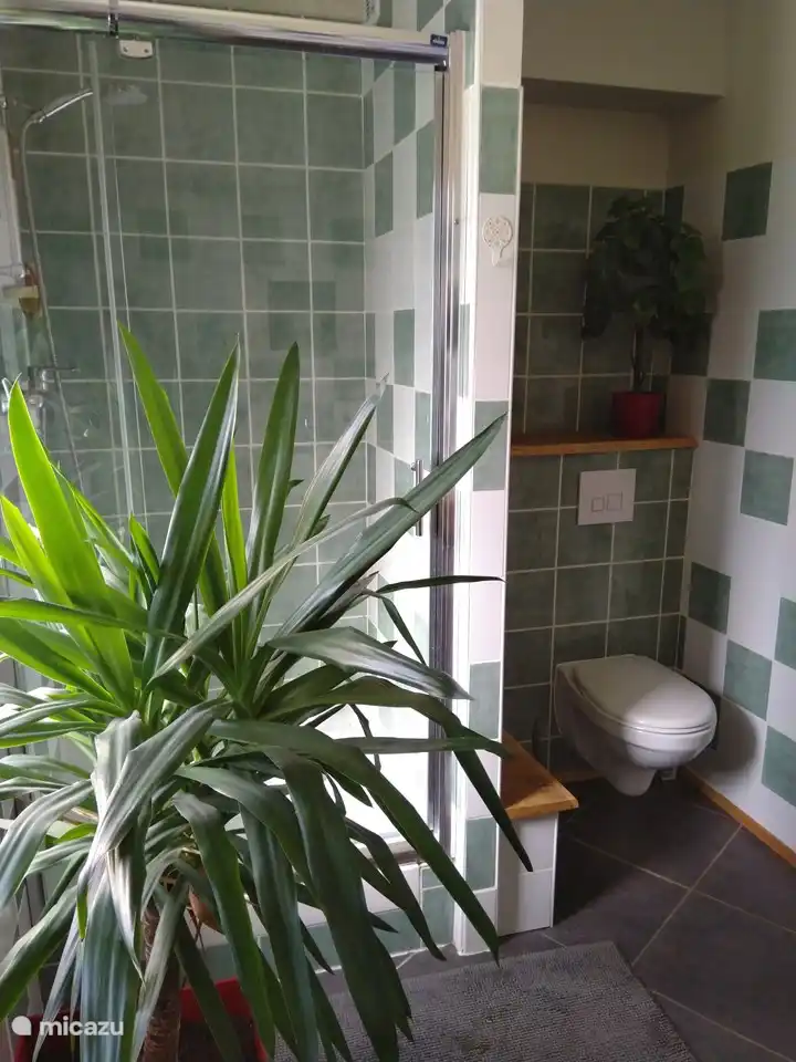 Op de badkamer bevindt zich tevens het toilet.