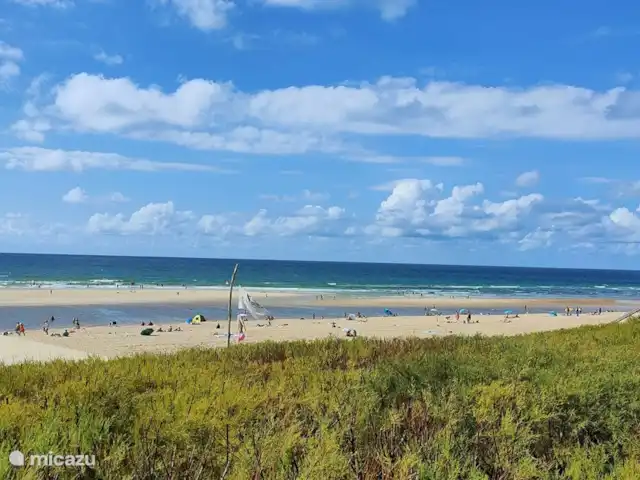 Wandelen, Frankrijk, Landes, Saint-Julien-en-Born, bungalow Village Océlandes