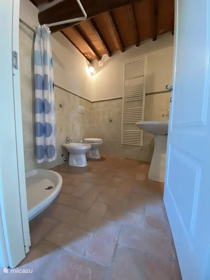 The bathroom on the ground floor