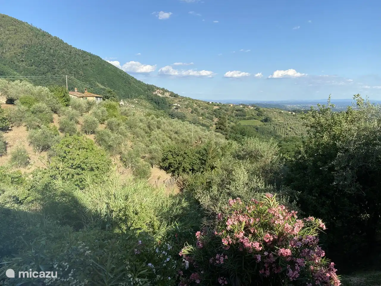 The view from the terrace next to the pool