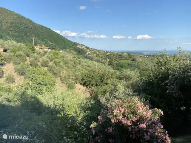 Maison Charlotte | Italie, Toscane, Lucca - gîte / cottage La vue de la terrasse à côté de la piscine