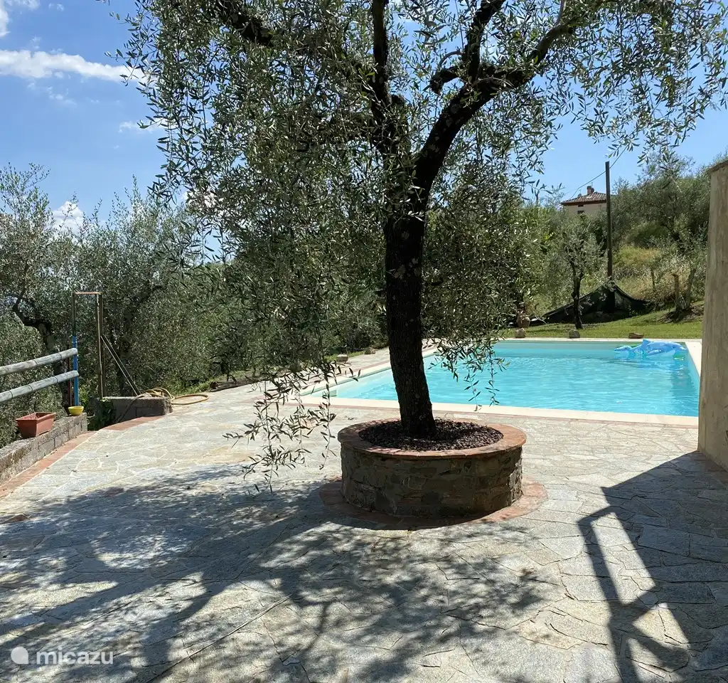 Casa Charlotte