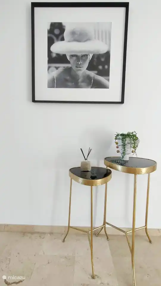 We hebben veel aandacht gegeven aan de styling van het appartement.