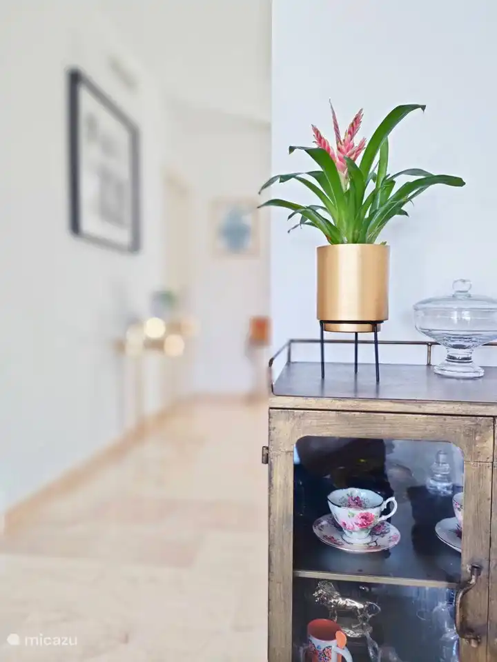 We hebben veel aandacht gegeven aan de styling van het appartement.