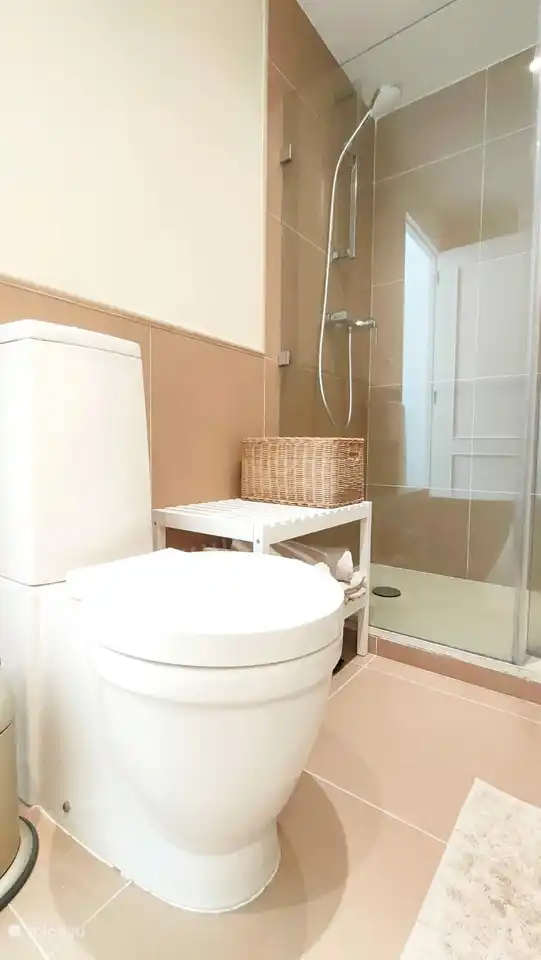 Tweede toilet in de badkamer en-suite van master bedroom, met grote douchecabine.