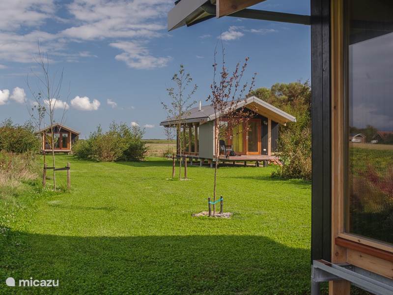 Vakantiehuis Nederland, Zeeland, Zonnemaire Tiny House Buitenkamer 'gras groen'
