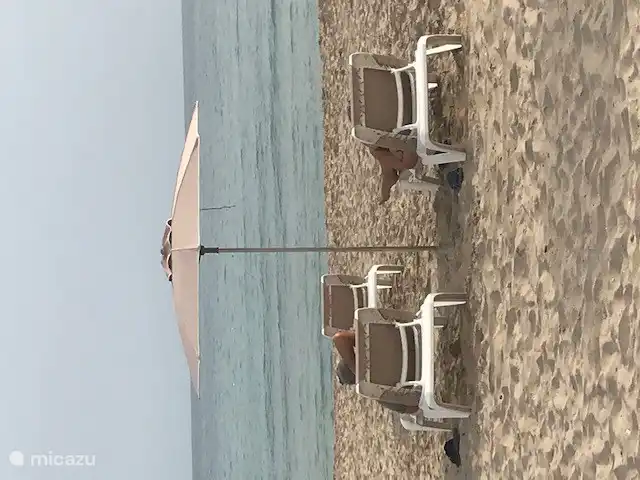 Zu vermieten am Strand Strandliegen und Sonnenschirme