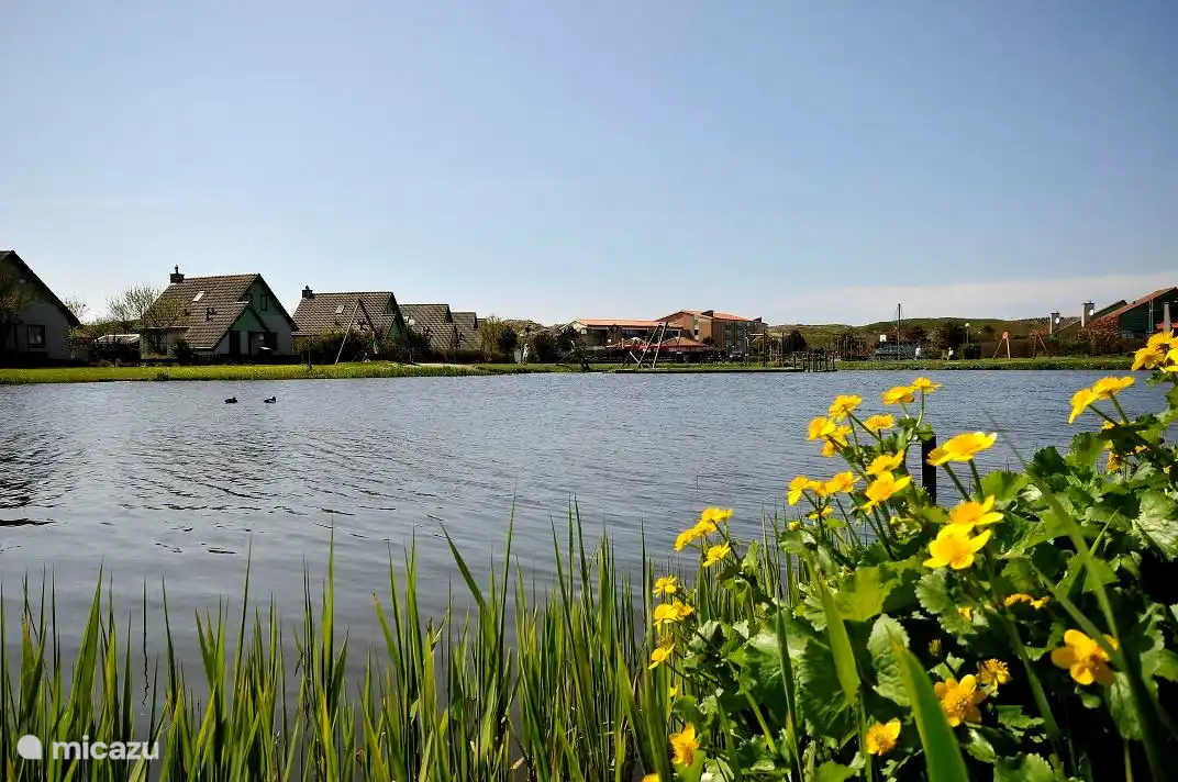 Huizen met uitzicht op het water.