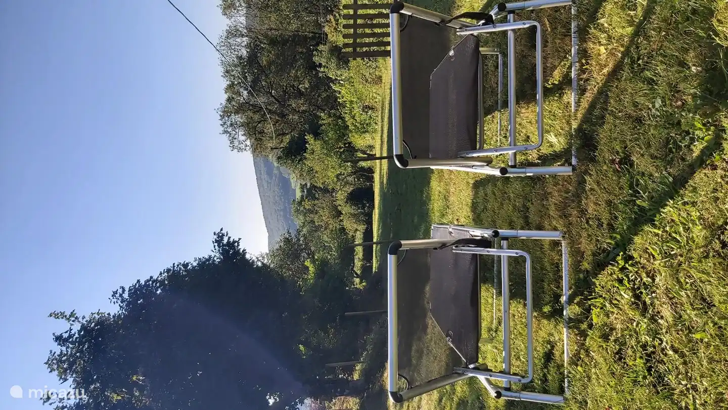 View from the garden