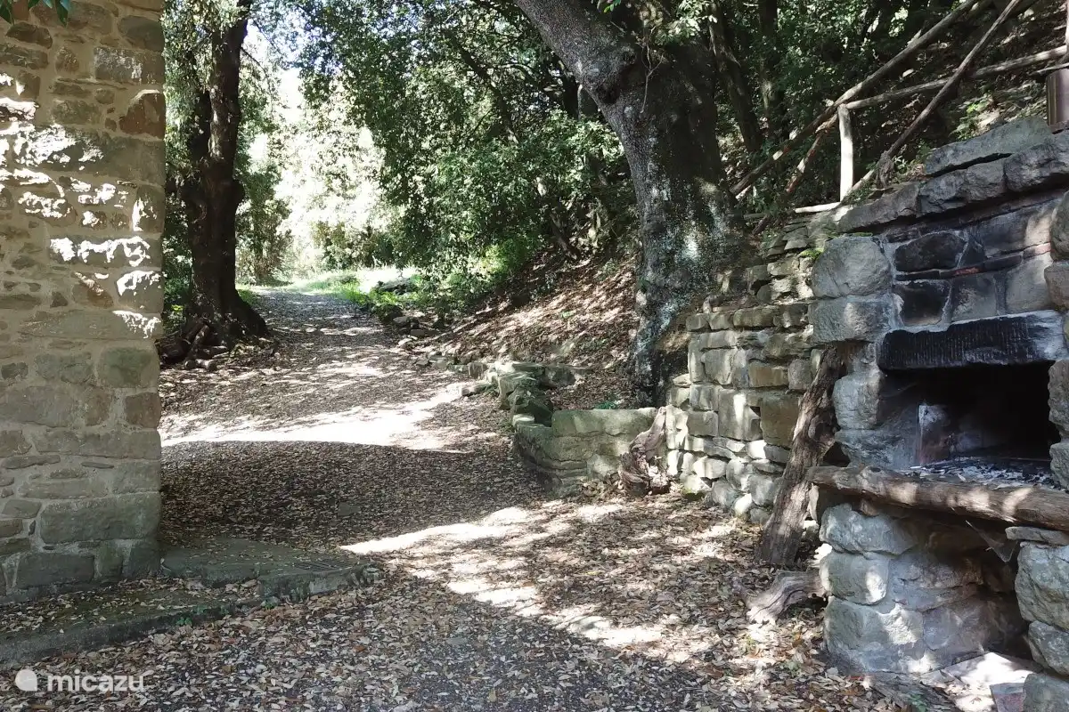 Vue juste derrière l’appartement.