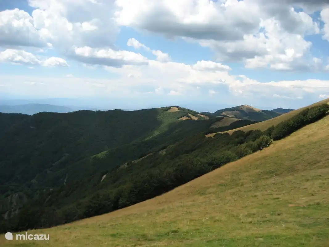 Réserve naturelle de Prato Magno