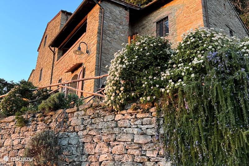 Vakantiehuis Italië, Toscane, Castelfranco Piandisco Appartement Borgo Morgiano - Farfalla