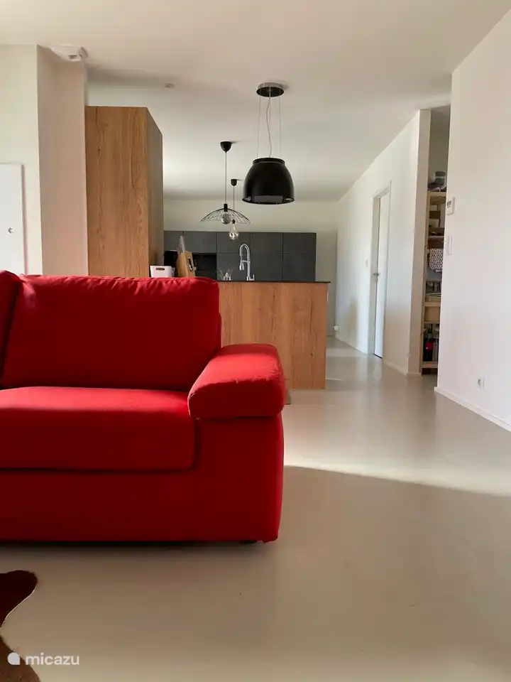 ¿Ves la televisión en el sofá por la noche?