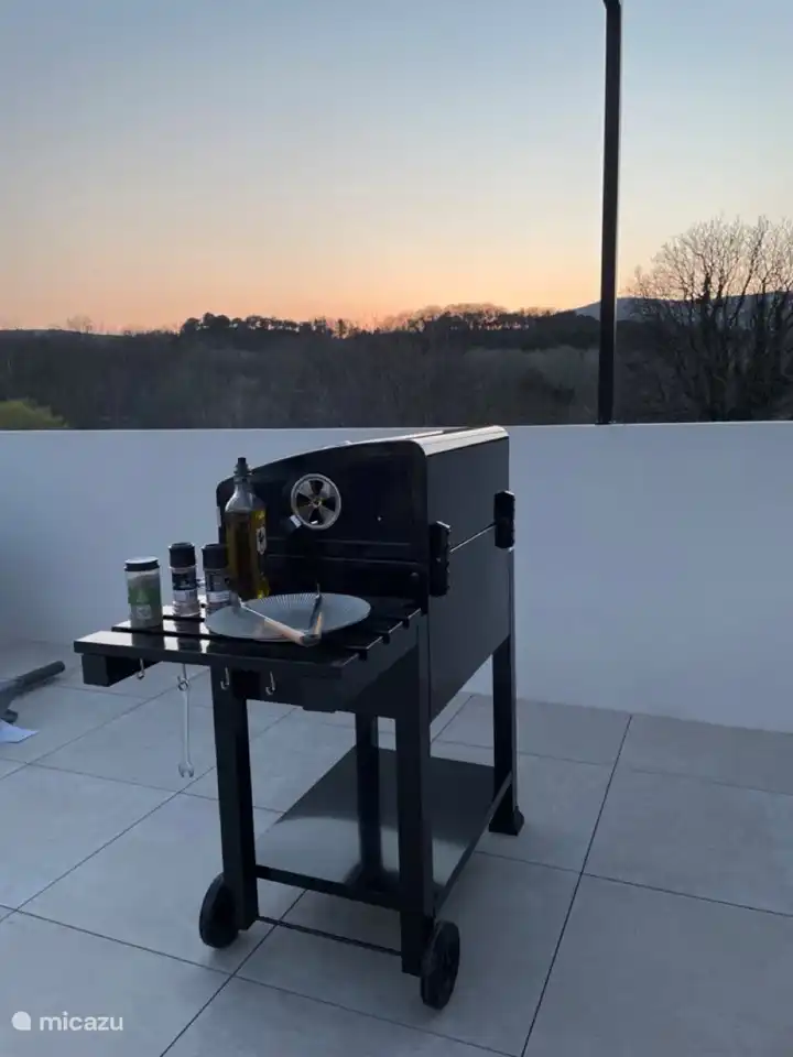 Boretti Carbone: ampliamente autoevaluado y encontrado super