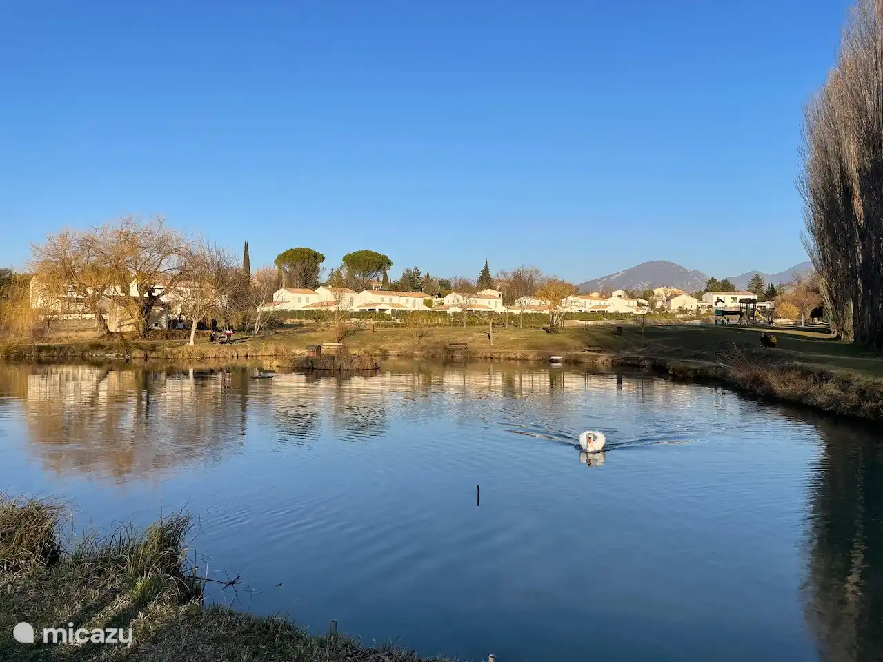 Desde la terraza se tiene una hermosa vista del estanque en el parque de Malaucène. Un verdadero atractivo para los lugareños. ¡Cuidado con el cisne!
