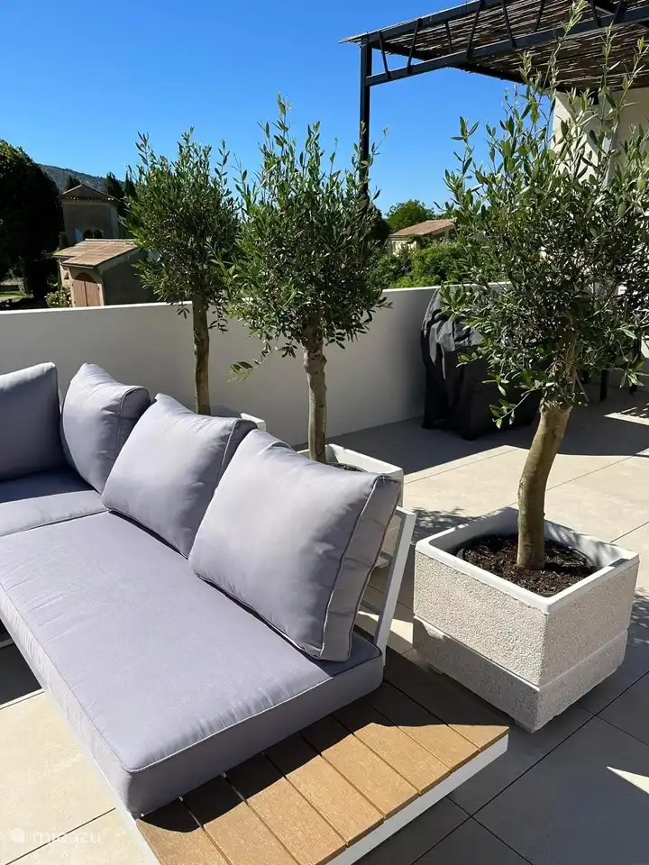 A la sombra de los olivos