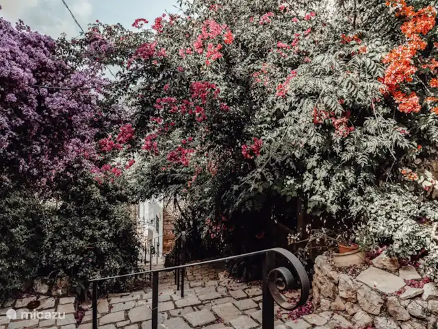 Location de Vacances Espagne, Costa Blanca, Lliber, maison de vacances - Cà la Vall | Votre séjour méditerranéen Photo d'ambiance