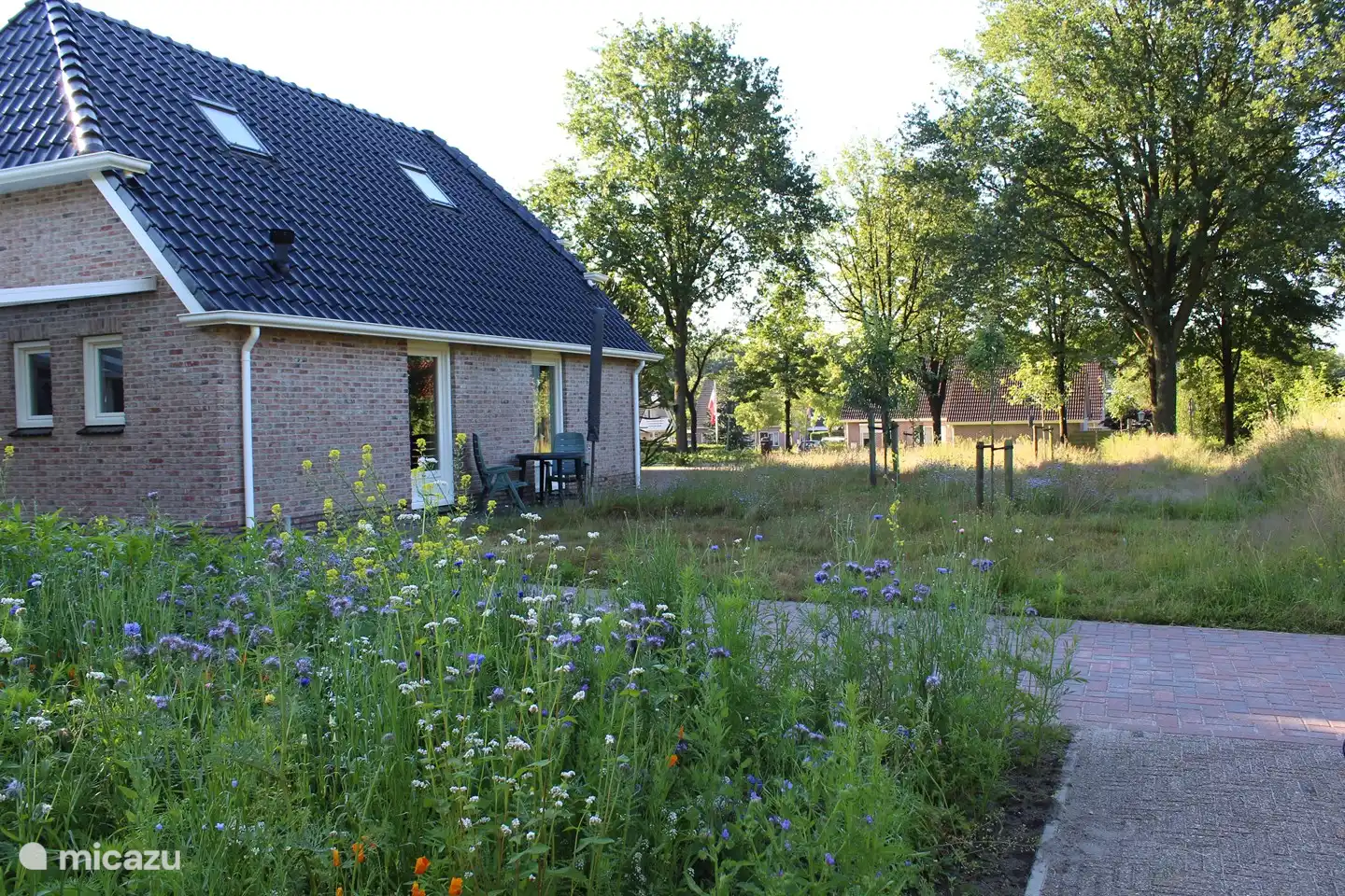 appartement | Pays-Bas – Maison de vacances Darp