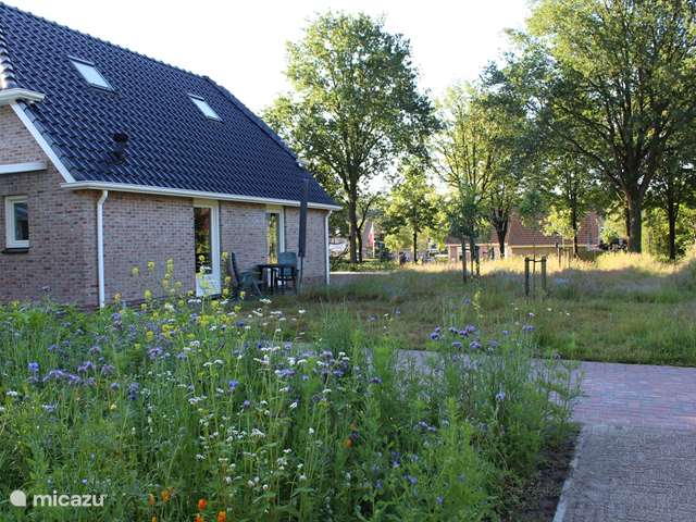Holiday home in Netherlands, Drenthe, Havelte - apartment Holiday home Darpa