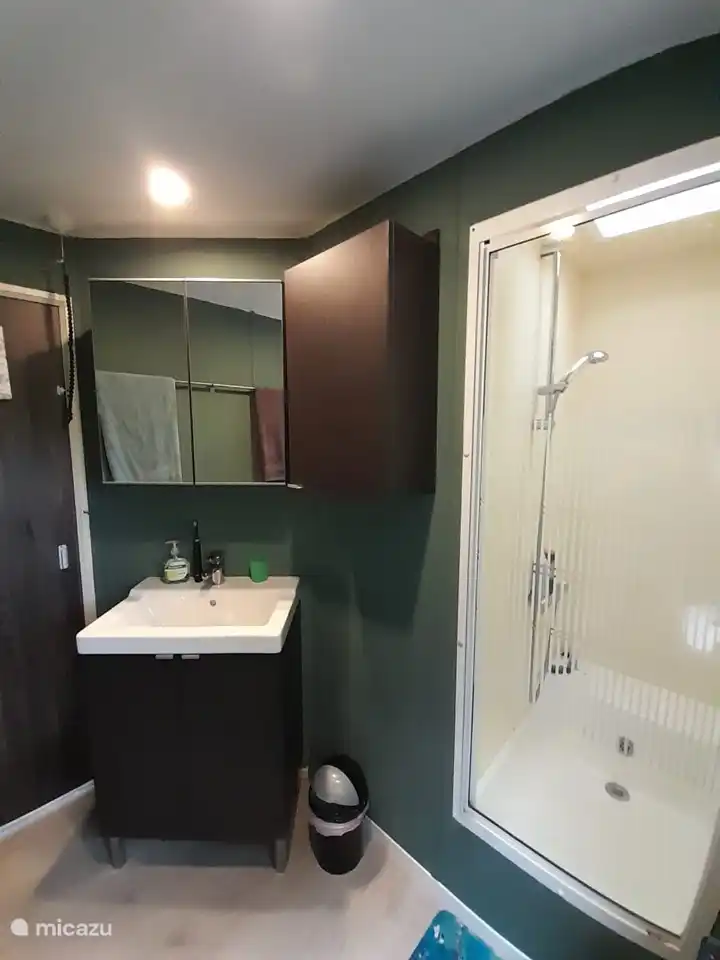 Badezimmer mit Dusche, Waschbecken und Toilette