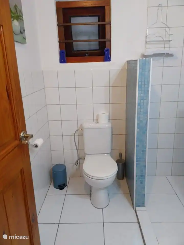 Badkamer met toilet