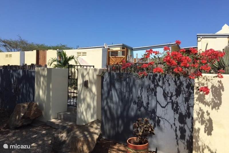 Ferienwohnung Aruba, Aruba Nord, Sabana Liber Appartement Amarillo-Apartments mit Pool (2)