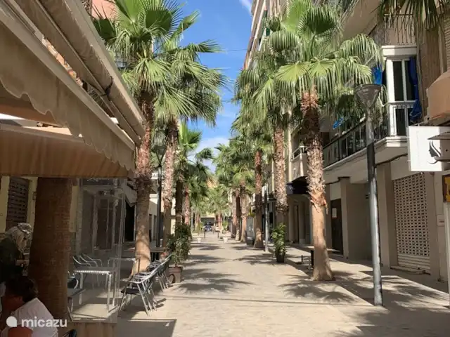 Canonigo Palmeras | Espagne, Costa Blanca, Torrevieja - appartement Canonigo Palmeras | Espagne, Costa Blanca, Torrevieja - appartement