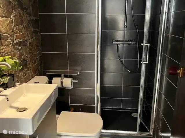 Canonigo Palmeras | Espagne, Costa Blanca, Torrevieja - appartement Salle de bain 2