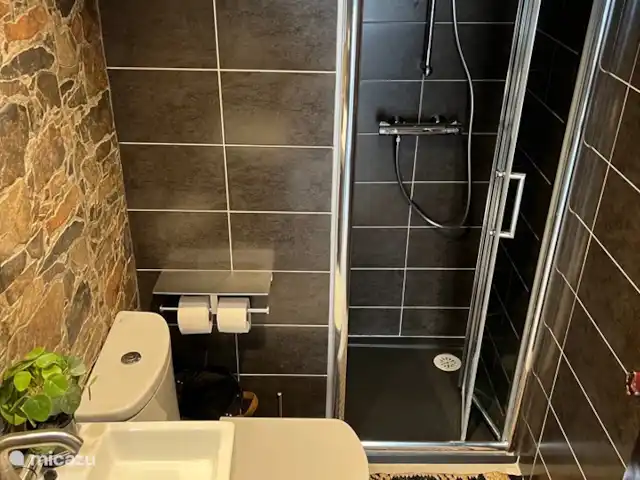 Canonigo Palmeras | Espagne, Costa Blanca, Torrevieja - appartement Salle de bain 2