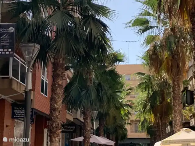 Canonigo Palmeras | Espagne, Costa Blanca, Torrevieja - appartement Rue des palmiers