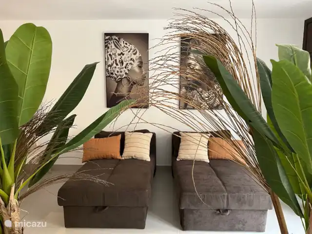 Canonigo Palmeras | Espagne, Costa Blanca, Torrevieja - appartement Chaise longue convertible en 2 lits 1 personne
