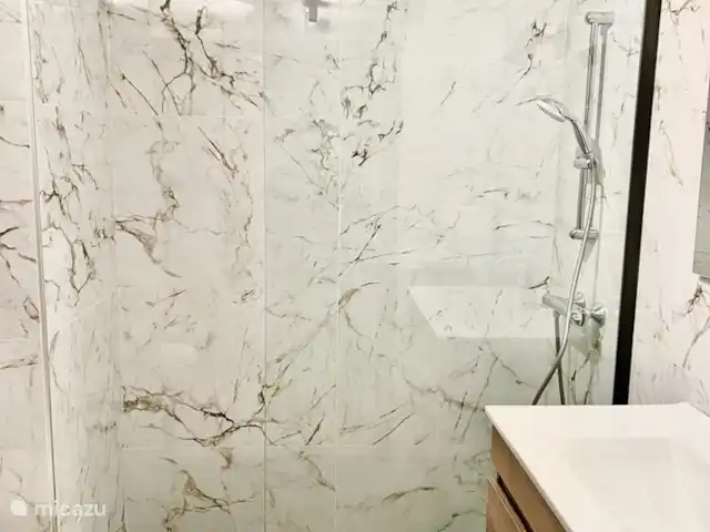 Canonigo Palmeras | Espagne, Costa Blanca, Torrevieja - appartement Salle de bain 1