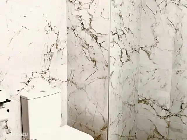 Canonigo Palmeras | Espagne, Costa Blanca, Torrevieja - appartement Salle de bain 1