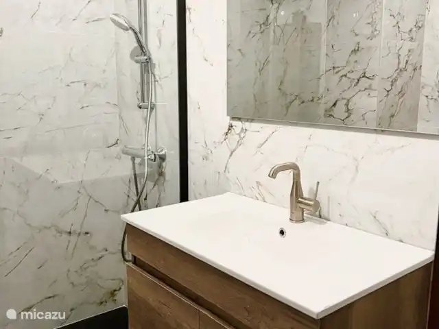 Canonigo Palmeras | Espagne, Costa Blanca, Torrevieja - appartement Salle de bain 1