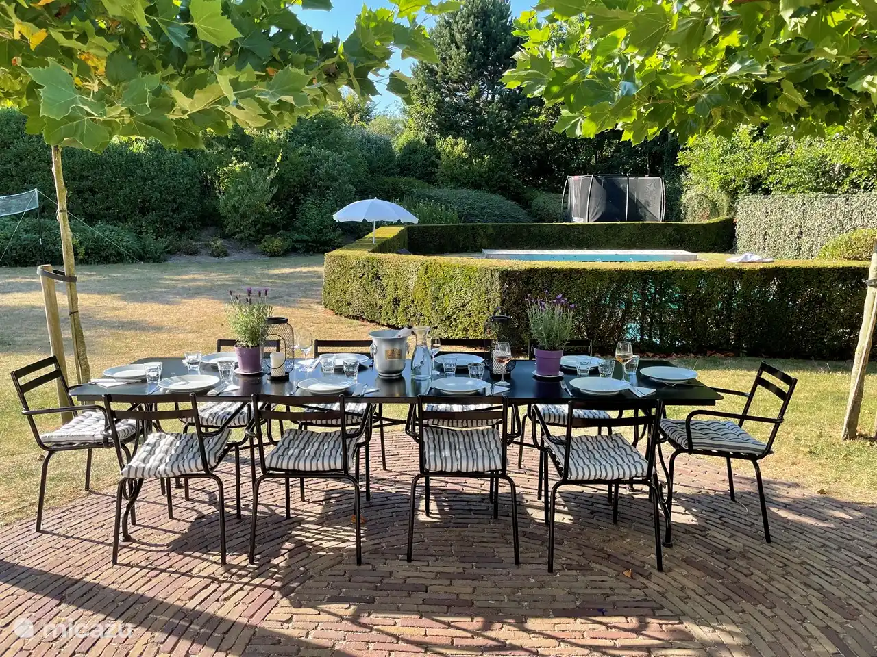 Essen im Schatten der Platanen