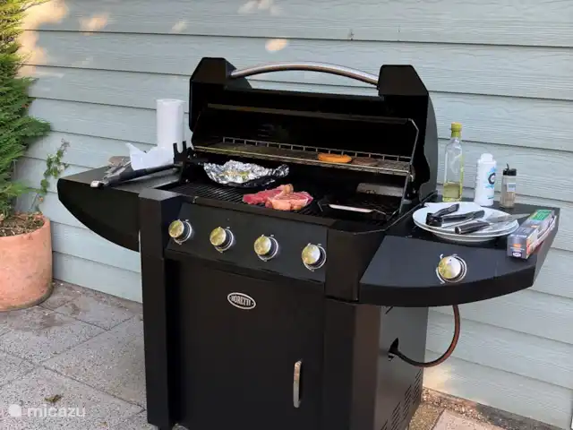 Villa spacieuse avec piscine privée chauffée | Pays-Bas, Zélande, Kamperland - villa Beau barbecue pour nos invités