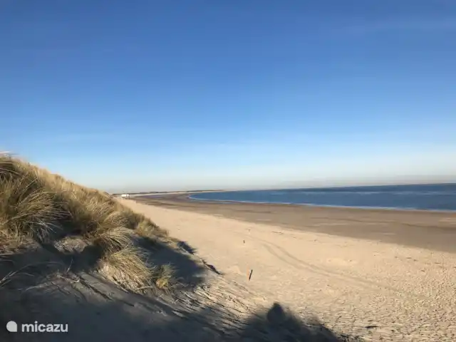 Villa spacieuse avec piscine privée chauffée | Pays-Bas, Zélande, Kamperland - villa grande plage calme