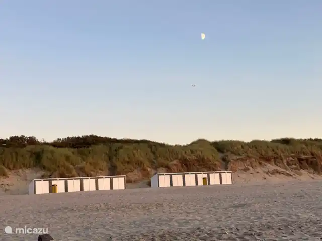 Villa spacieuse avec piscine privée chauffée | Pays-Bas, Zélande, Kamperland - villa La lune sur la plage