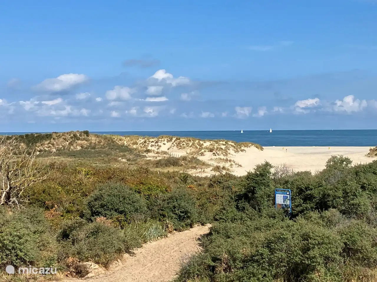 Wandern im wunderschönen Naturschutzgebiet in den Dünen