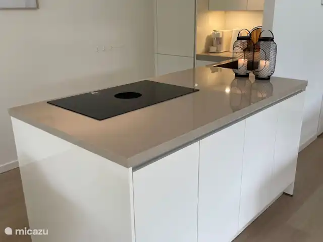 Villa spacieuse avec piscine privée chauffée | Pays-Bas, Zélande, Kamperland - villa Îlot de cuisson avec BORA (plaque de cuisson avec hotte intégrée)