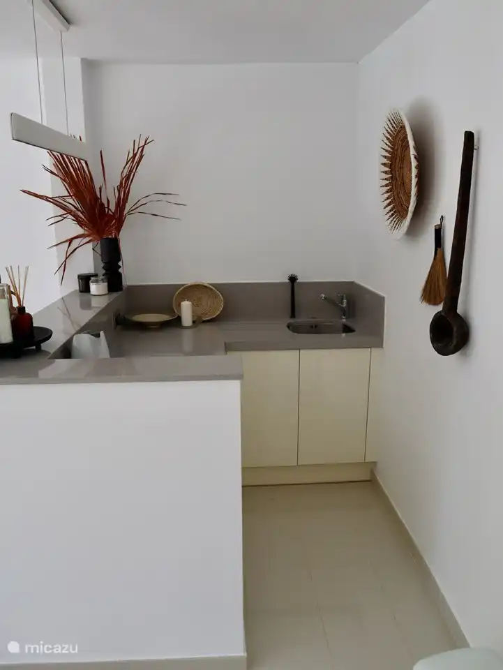 Bijkeuken begane grond zij aanzicht