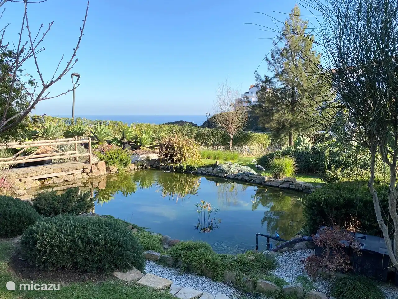 Jardines bien cuidados en todo.