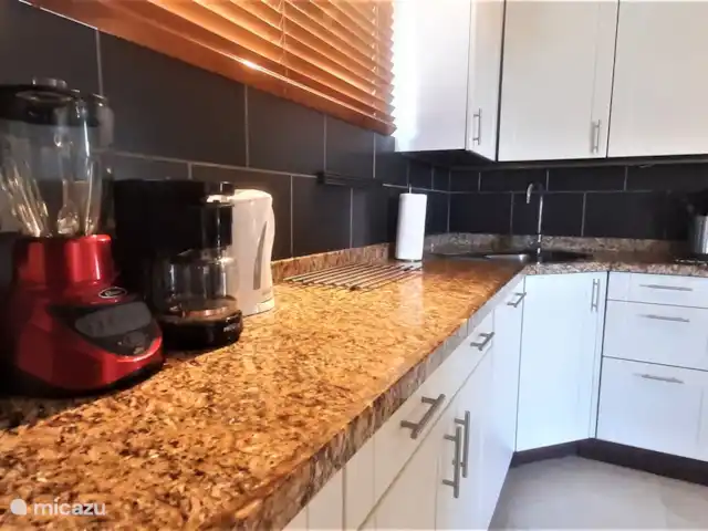 Villa de lujo con hermoso jardín en Aruba, Paradera, Paradera - villa Cocina totalmente equipada
