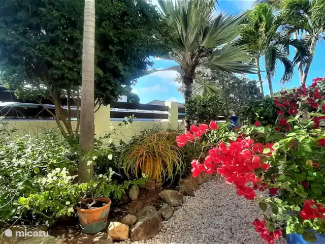 Villa de lujo con hermoso jardín en Aruba, Paradera, Paradera - villa Patio delantero