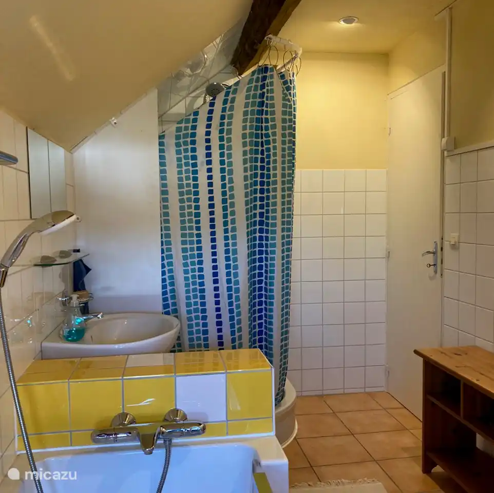 Bathroom with sink, shower and bath with low entry. There is a separate toilet in the same hallway.