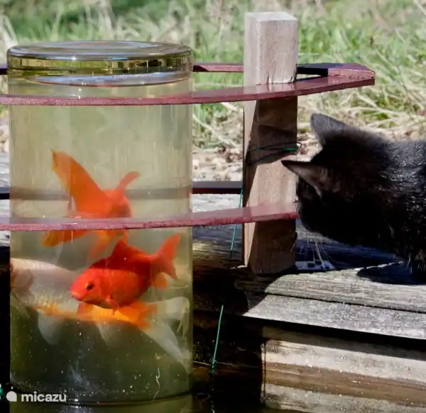 A different view of the world